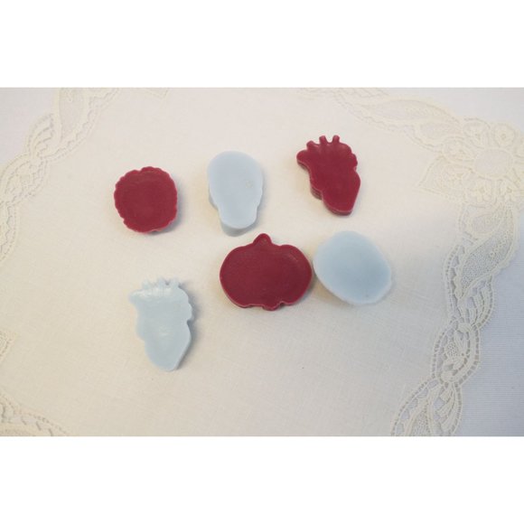 Anatomical Hearts Wax Melts | Skulls & Organs Tarts | Hand Poured - Picture 4 of 4